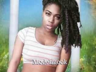 Modelmook