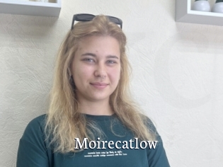 Moirecatlow