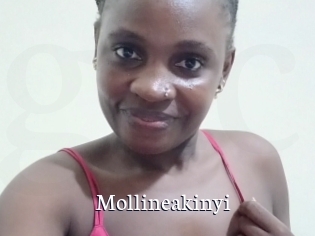 Mollineakinyi