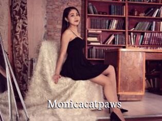 Monicacatpaws