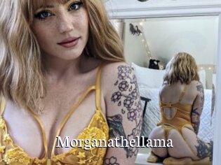 Morganathellama