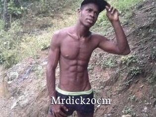 Mrdick20cm