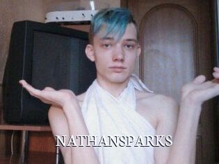 NATHAN_SPARKS