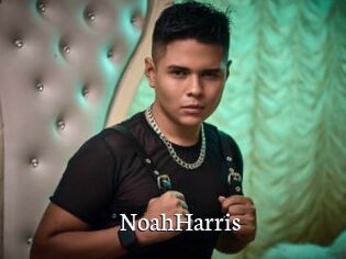 NoahHarris