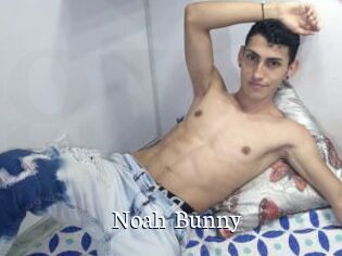 Noah_Bunny