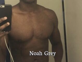 Noah_Grey