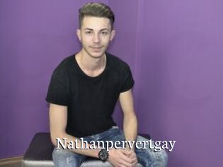 Nathanpervertgay