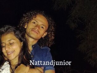 Nattandjunior