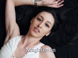 Naughtiswan