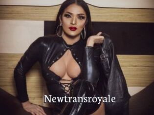 Newtransroyale