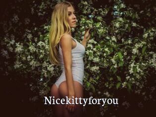 Nicekittyforyou