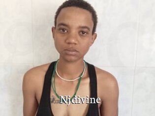 Njdivine