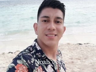noah_cock Gratis xxx Clips