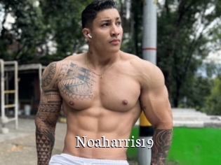 Noaharris19