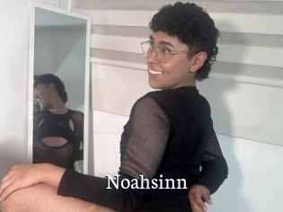 Noahsinn
