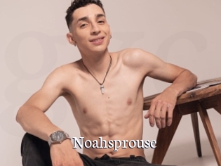 Noahsprouse