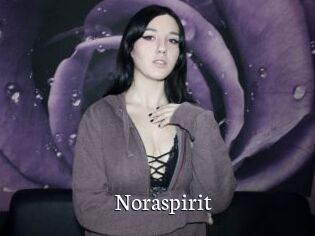 Noraspirit