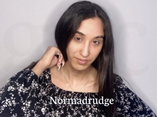Normadrudge