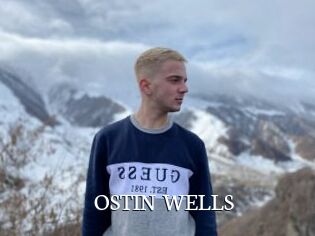 OSTIN_WELLS