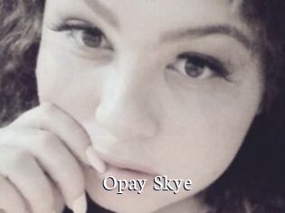 Opay_Skye