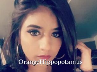 OrangeHippopotamus