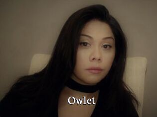 _Owlet_