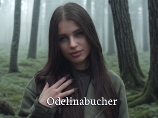 Odelinabucher