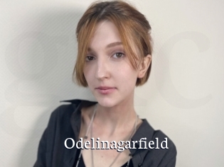 Odelinagarfield
