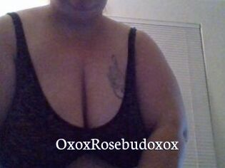 OxoxRosebudoxox