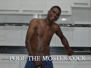 POOL_THE_MOSTER_COCK