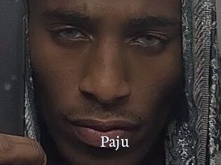Paju