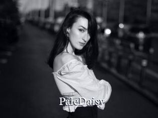 PaleDaisy