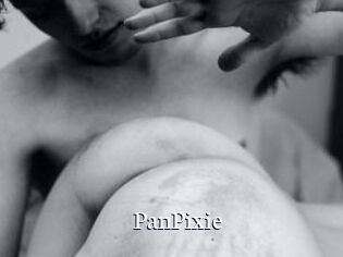 PanPixie