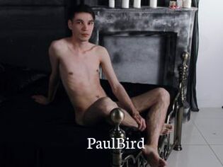 PaulBird