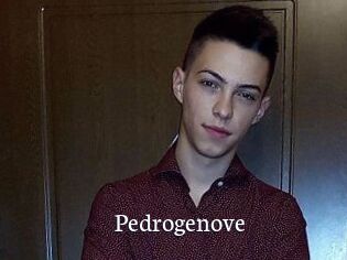Pedrogenove