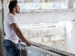 PerfectguyRobert