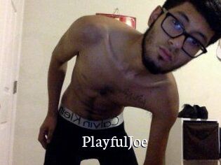PlayfulJoe