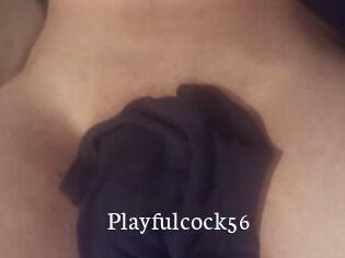 Playfulcock56