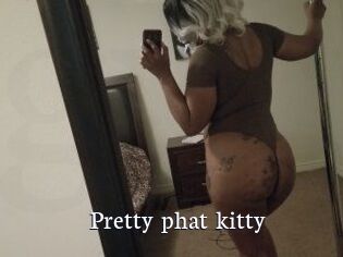 Pretty_phat_kitty