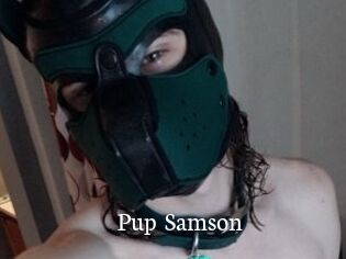 Pup_Samson
