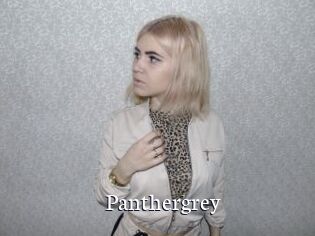 Panthergrey