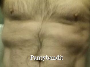 Pantybandit