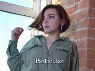 Particular