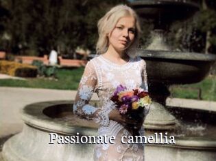 Passionate_camellia
