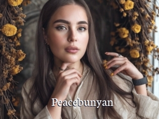 Peacebunyan