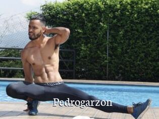 Pedrogarzon