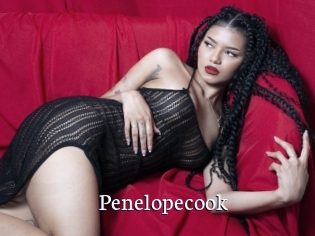 Penelopecook