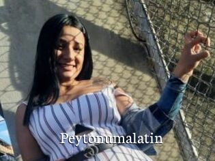 Peytonumalatin