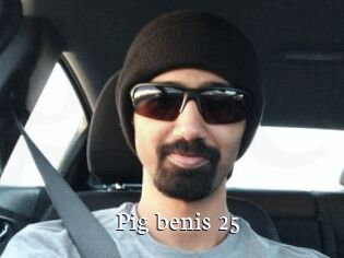 Pig_benis_25