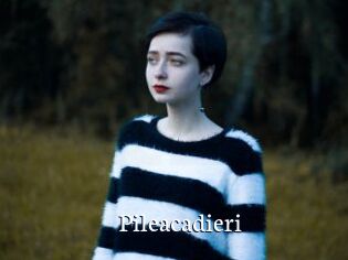 Pileacadieri